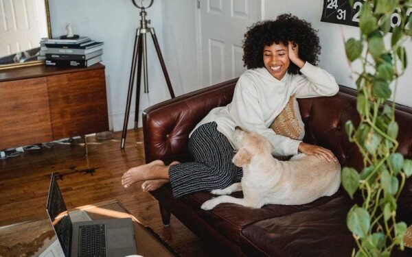 Pet Friendly HMOs: What is the law?