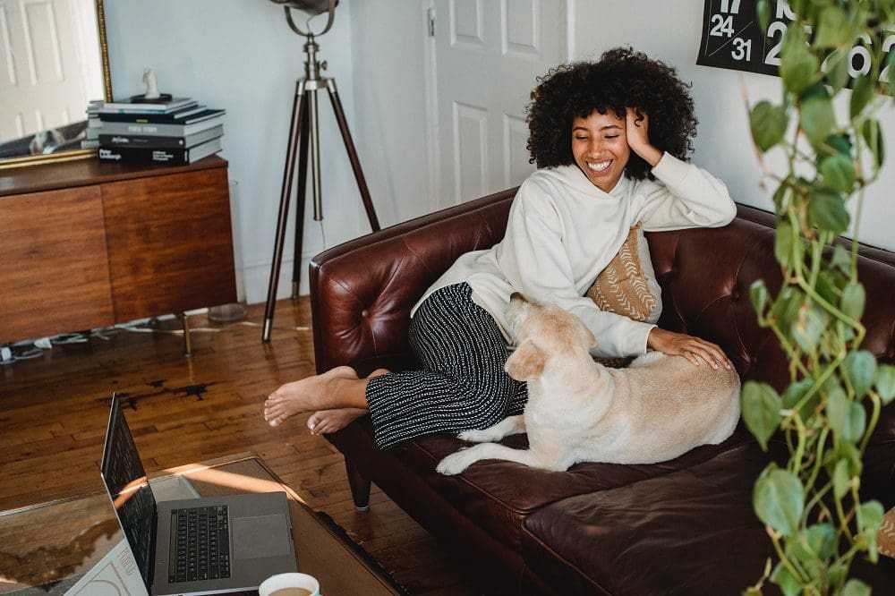 Pet Friendly HMOs: What is the law?