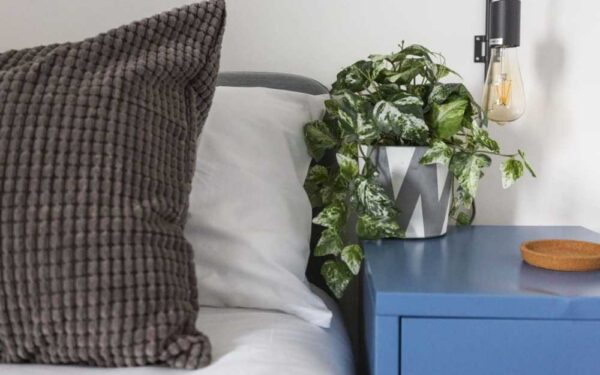 Owning an HMO v Rent to Rent HMO