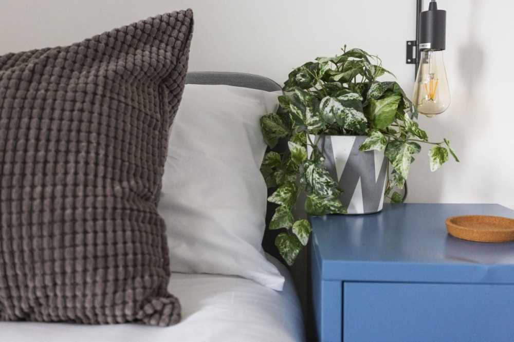 Owning an HMO v Rent to Rent HMO