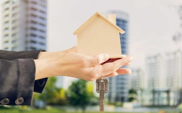 Small v Large HMOs: What s the Best for You?
