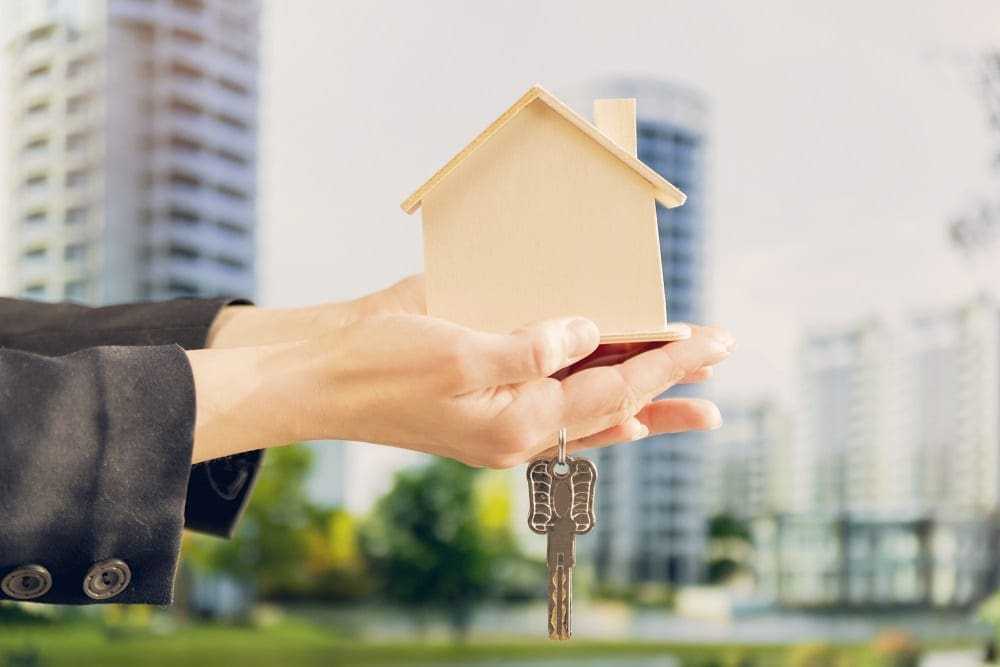 Small v Large HMOs: What s the Best for You?