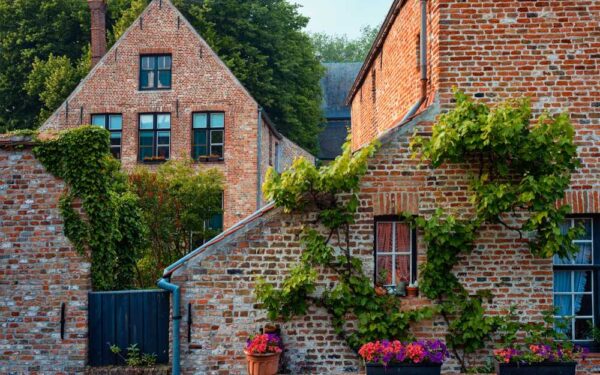 A House, A House, My Kingdom for a House